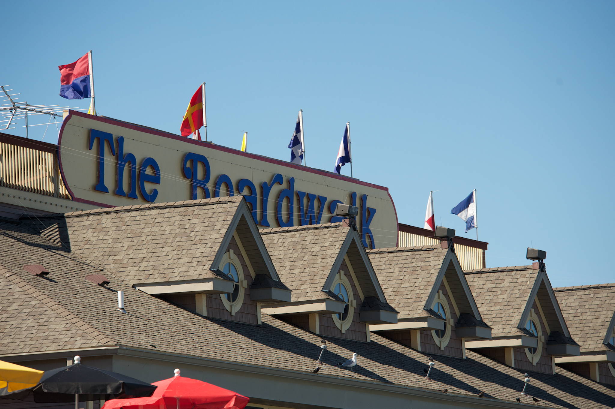 Gallery PutinBay Winery